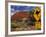 Alice Springs, Traffic Sign Beside Road Through Outback, Red Rocks of Olgas Behind, Australia-Amar Grover-Framed Photographic Print