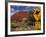 Alice Springs, Traffic Sign Beside Road Through Outback, Red Rocks of Olgas Behind, Australia-Amar Grover-Framed Photographic Print