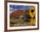 Alice Springs, Traffic Sign Beside Road Through Outback, Red Rocks of Olgas Behind, Australia-Amar Grover-Framed Photographic Print