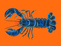 Lobster on Orange-Alice Straker-Laminated Photographic Print