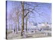 Stretched Canvas Print