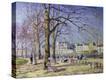 Stretched Canvas Print