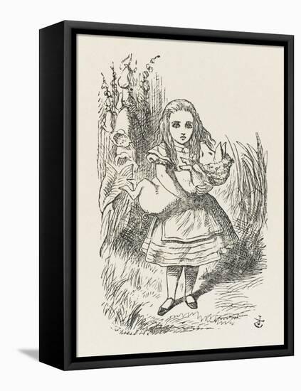 Alice with the Pig-Baby-John Tenniel-Framed Stretched Canvas