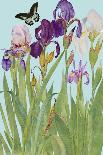 Iris Fantasy I-Alicia Longley-Art Print