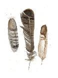 Earthtone Feathers I-Alicia Ludwig-Art Print