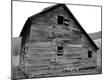 Photographic Print
