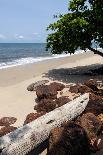 Caribbean, Anguilla. Close-Up Shot of Starfish in Sand-Alida Latham-Photographic Print