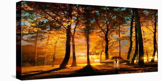 Stretched Canvas Print, , large