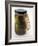 Alien In a Jar, Roswell, New Mexico, USA-Detlev Van Ravenswaay-Framed Photographic Print