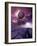 Alien Landscape, Artwork-Detlev Van Ravenswaay-Framed Photographic Print