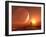 Alien Landscape, Artwork-Detlev Van Ravenswaay-Framed Photographic Print