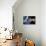 Alien Planetary System-Detlev Van Ravenswaay-Photographic Print displayed on a wall