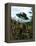 Alien Spaceship-Victor Habbick-Framed Premier Image Canvas