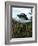 Alien Spaceship-Victor Habbick-Framed Photographic Print