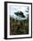 Alien Spaceship-Victor Habbick-Framed Photographic Print