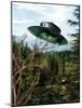 Alien Spaceship-Victor Habbick-Mounted Photographic Print