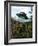 Alien Spaceship-Victor Habbick-Framed Photographic Print