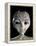 Alien-Roger Harris-Framed Premier Image Canvas