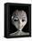 Alien-Roger Harris-Framed Premier Image Canvas