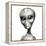 Alien-Friedrich Saurer-Framed Premier Image Canvas