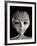 Alien-Roger Harris-Framed Photographic Print