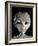 Alien-Roger Harris-Framed Photographic Print