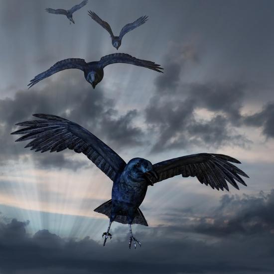 Art Print, , large