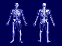 X-Ray Skeleton on Blue-AlienCat-Art Print