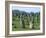 Alignments of Megalithic Standing Stones, Carnac, Morbihan, Brittany, France, Europe-J P De Manne-Framed Photographic Print