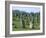 Alignments of Megalithic Standing Stones, Carnac, Morbihan, Brittany, France, Europe-J P De Manne-Framed Photographic Print