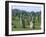 Alignments of Megalithic Standing Stones, Carnac, Morbihan, Brittany, France, Europe-J P De Manne-Framed Photographic Print