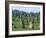 Alignments of Megalithic Standing Stones, Carnac, Morbihan, Brittany, France, Europe-J P De Manne-Framed Photographic Print