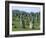 Alignments of Megalithic Standing Stones, Carnac, Morbihan, Brittany, France, Europe-J P De Manne-Framed Photographic Print