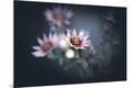 Premium Photographic Print