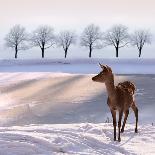 Deer Doe and Snowy Landscape-Alina G-Stretched Canvas