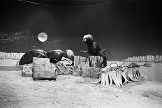 Wellington Barracks at Horse Guards, 1966-Alisdair Macdonald-Framed Photographic Print