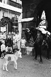 Earl Mountbatten's funeral, 1979-Alisdair Macdonald-Photographic Print