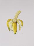 A Half-Peeled Banana, 1997-Alison Cooper-Giclee Print