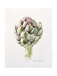 January King Cabbage-Alison Cooper-Giclee Print
