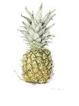 Ripe Pineapple, 2016-Alison Cooper-Giclee Print