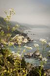 California, Big Sur, View of Pacific Ocean Coastline with Cow Parsley-Alison Jones-Photographic Print
