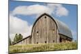 Photographic Print
