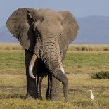 Maasai Teacher, Esetiti Nursery School, Amboseli National Park, Kenya-Alison Jones-Photographic Print