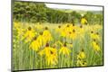 Premium Photographic Print