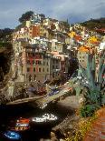 Town View, Rio Maggiore, Cinque Terre, Italy-Alison Jones-Photographic Print