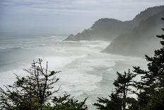 USA, Oregon. Seal Cove in fog on Pacific Coast Scenic Byway between Florence and Newport.-Alison Jones-Photographic Print