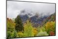 Premium Photographic Print