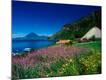 Photographic Print