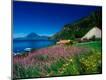 Photographic Print
