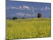 Premium Photographic Print